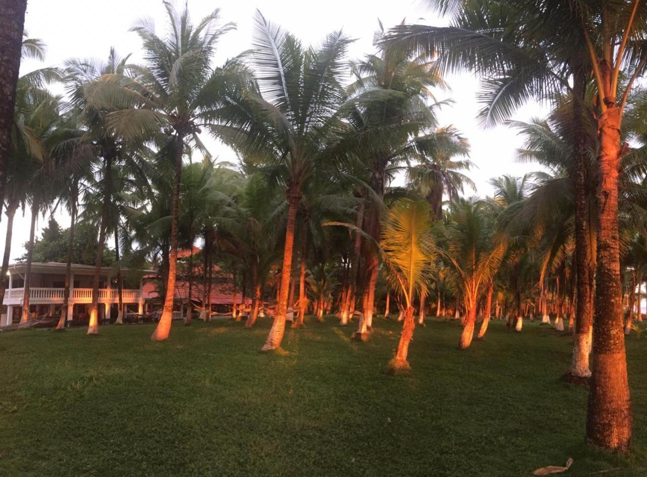 Hotel La Isla 파리타 외부 사진